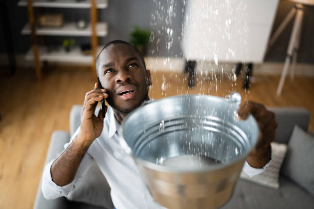 Best Water damage restoration near me  in Crandon, WI