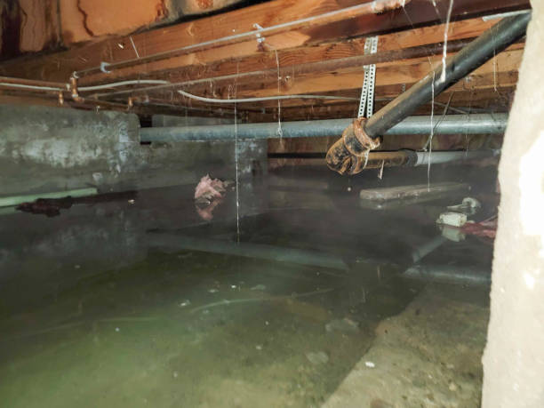 Best Emergency water damage restoration  in Crandon, WI