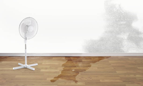 Best Fire Damage Restoration  in Crandon, WI