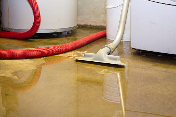 Best Carpet water damage restoration  in Crandon, WI