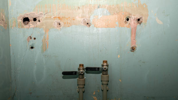 Best Basement water damage restoration  in Crandon, WI